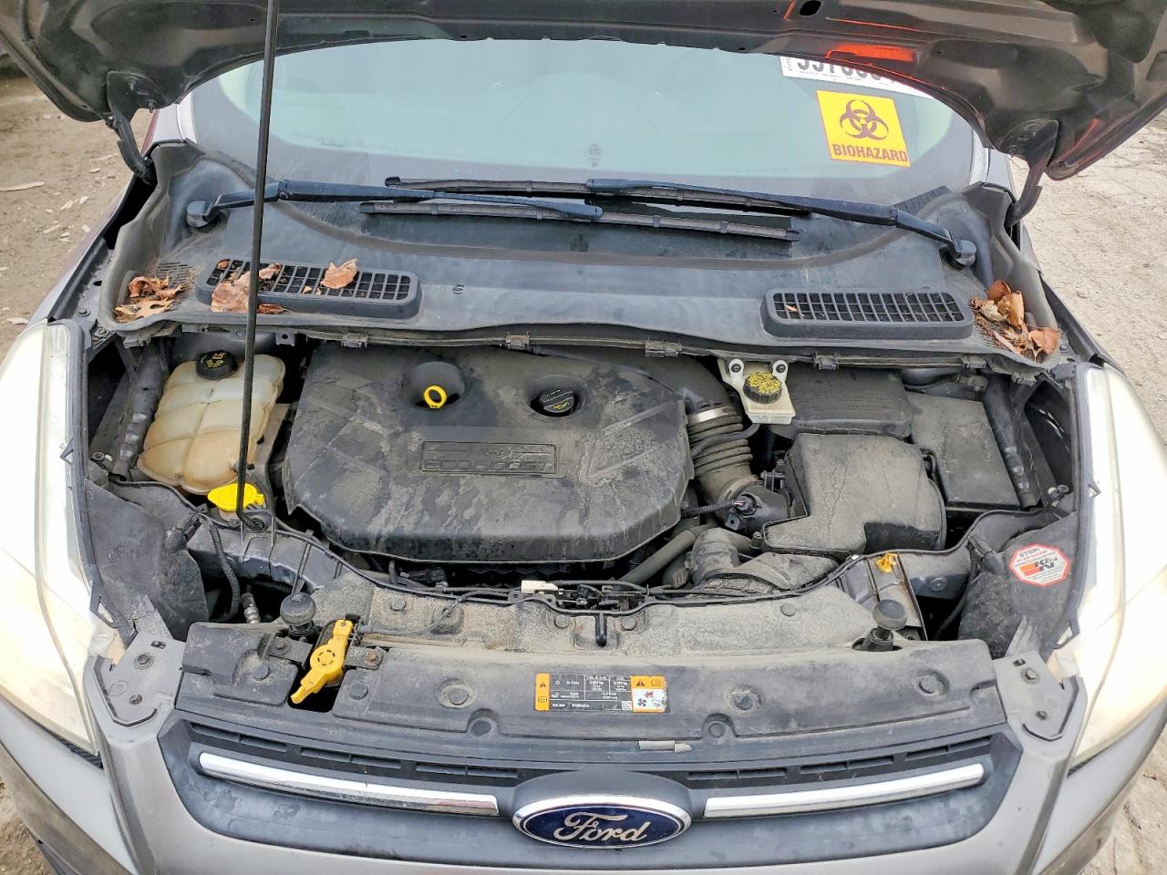 2014 FORD ESCAPE SE photo 11