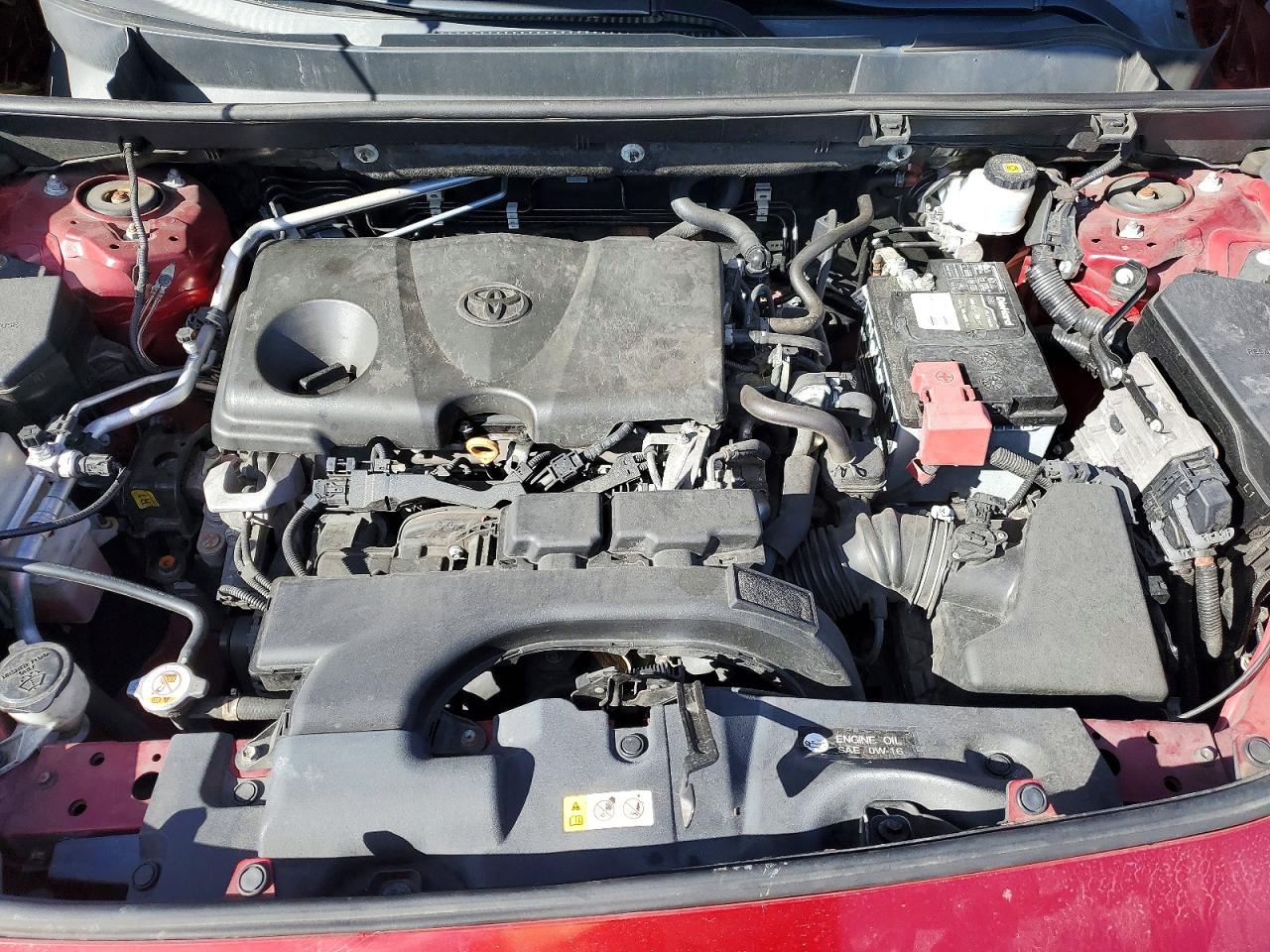 2019 TOYOTA RAV4 XLE photo 12