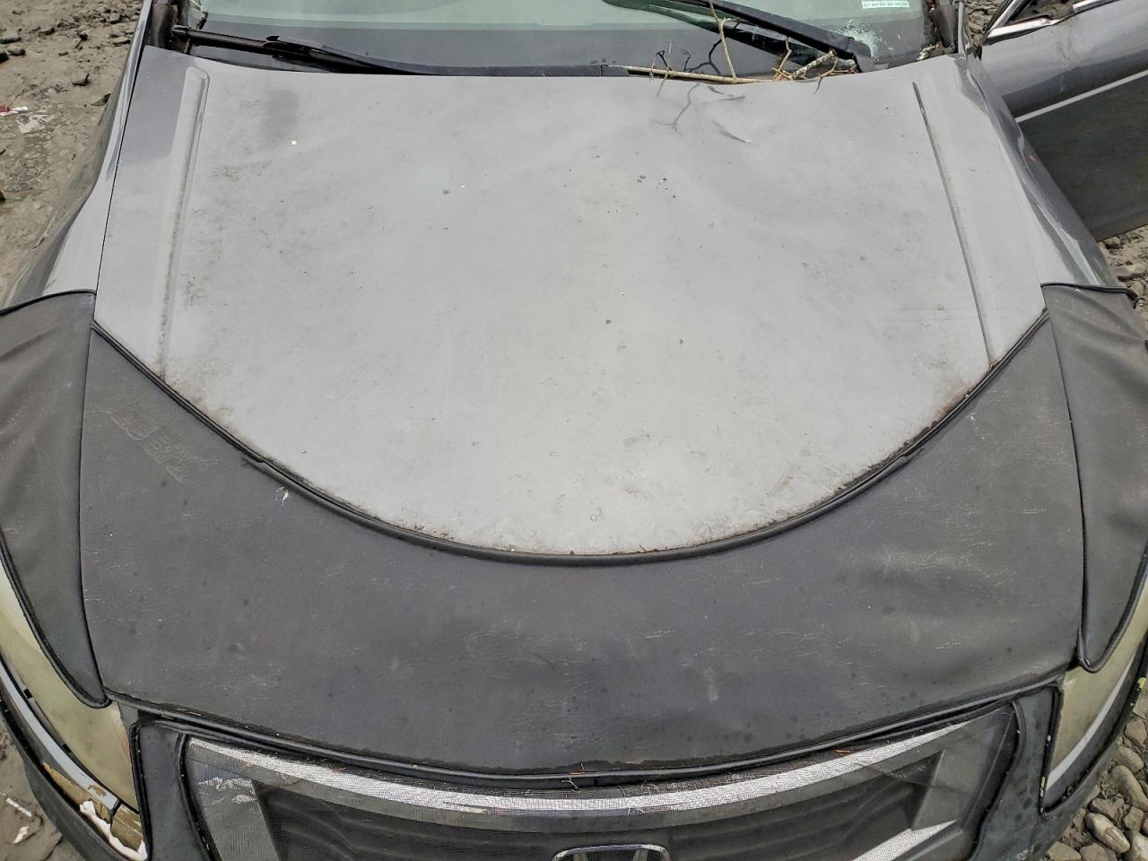 2010 HONDA ACCORD EX photo 11