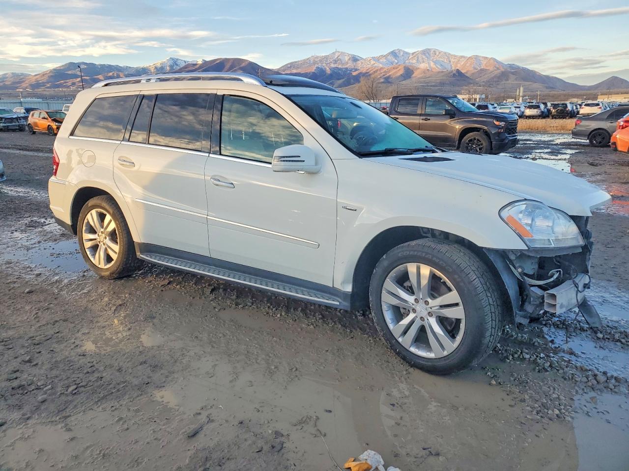 2011 MERCEDES-BENZ GL 350 BLUETEC photo 4