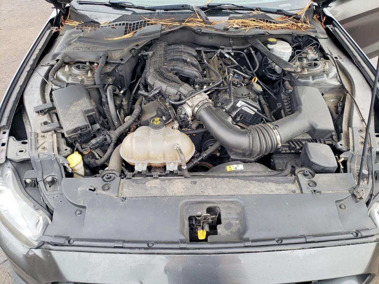2015 FORD MUSTANG photo 11