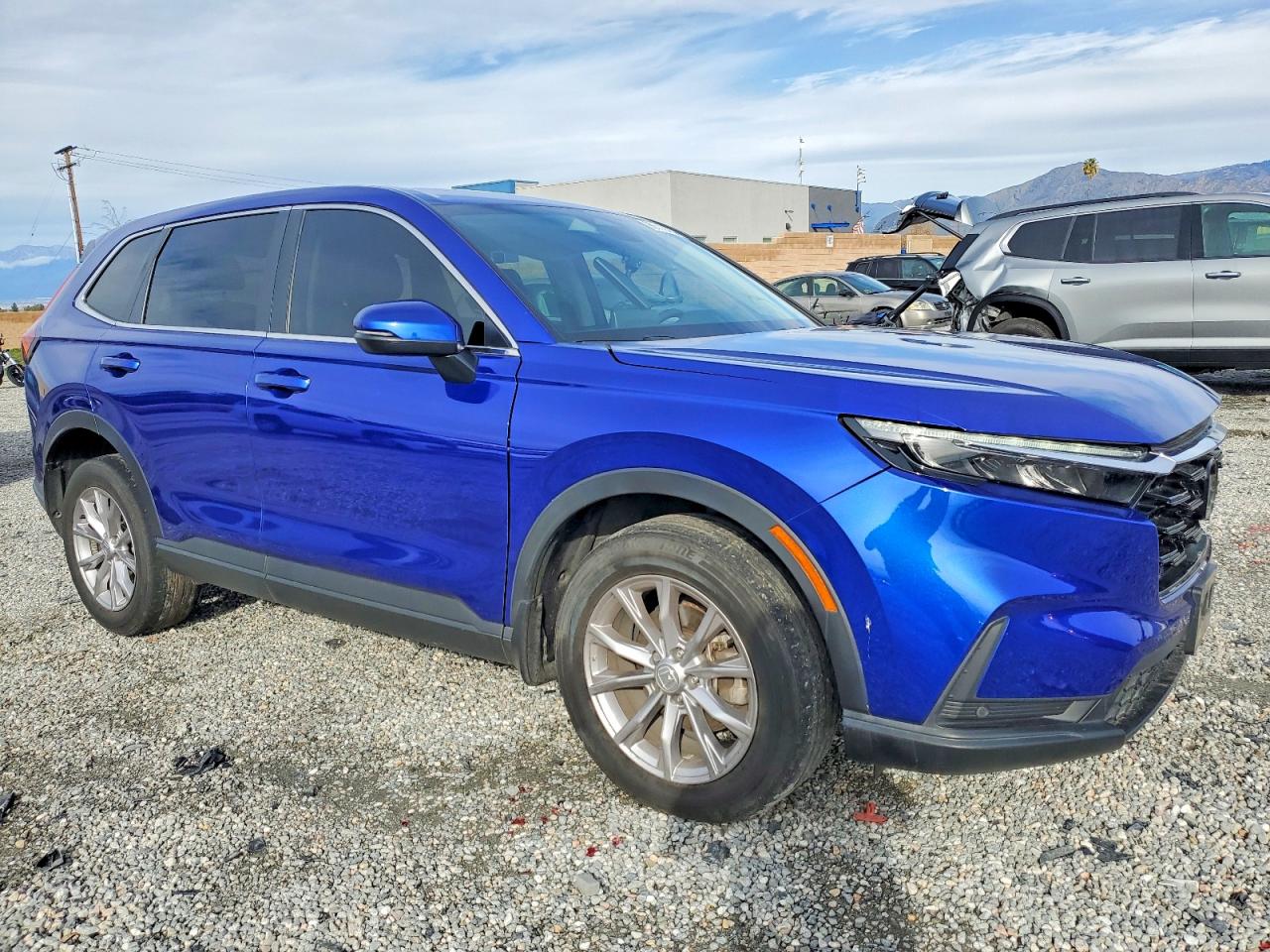 2024 HONDA CR-V EXL photo 4