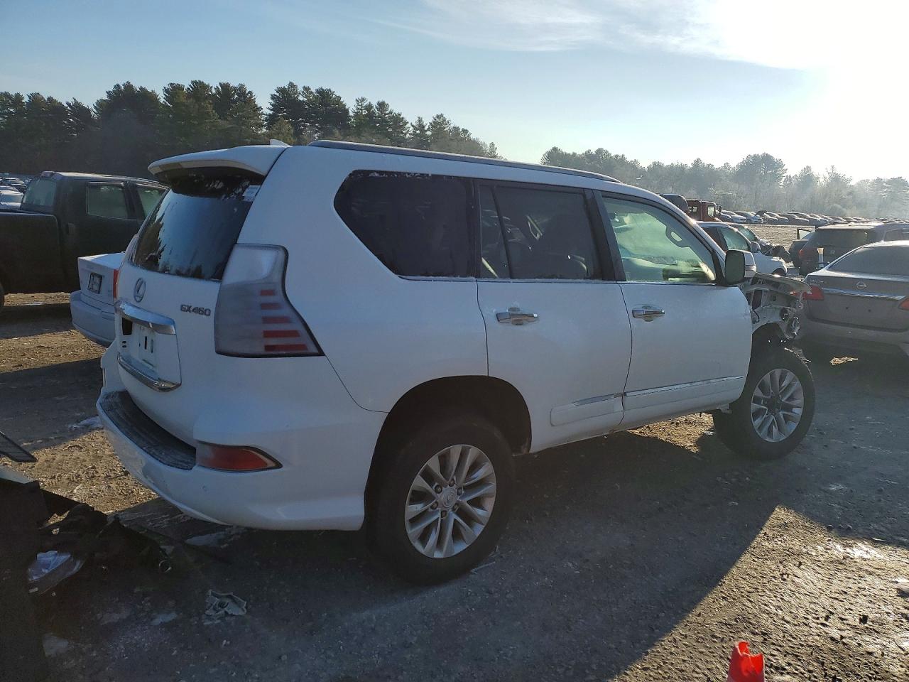 2018 LEXUS GX 460 photo 3