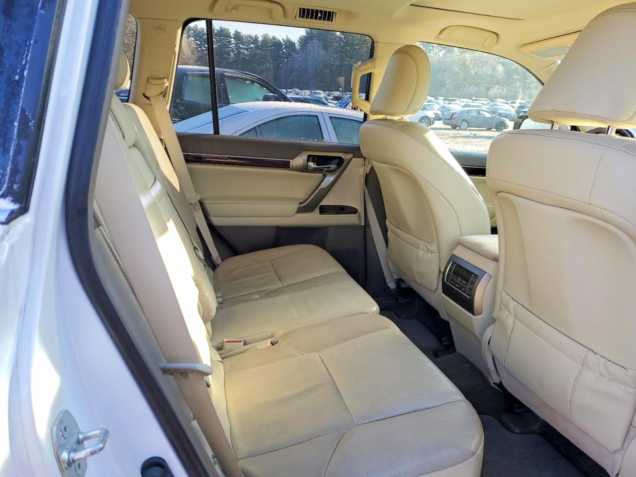 2018 LEXUS GX 460 photo 11