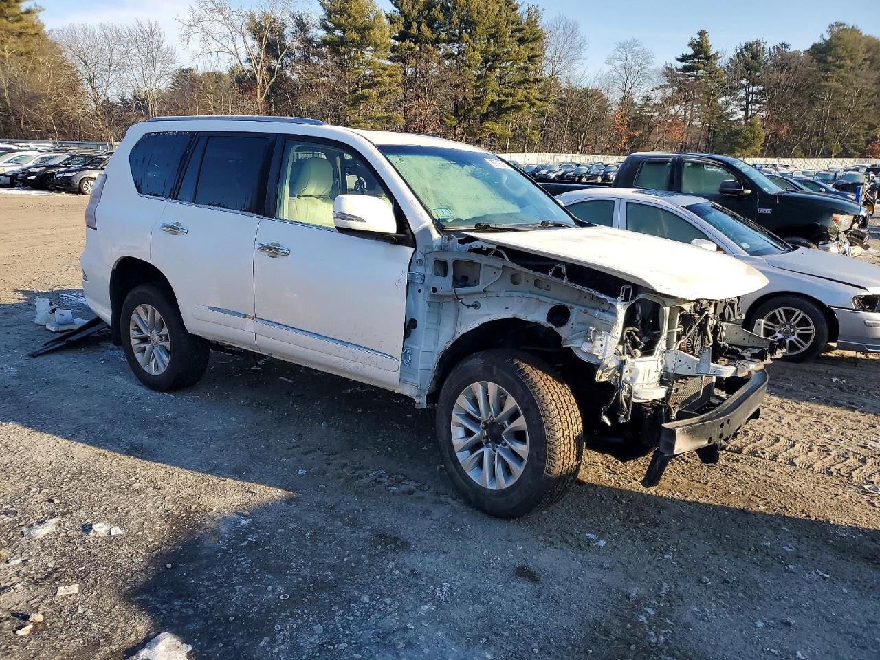 2018 LEXUS GX 460 photo 4