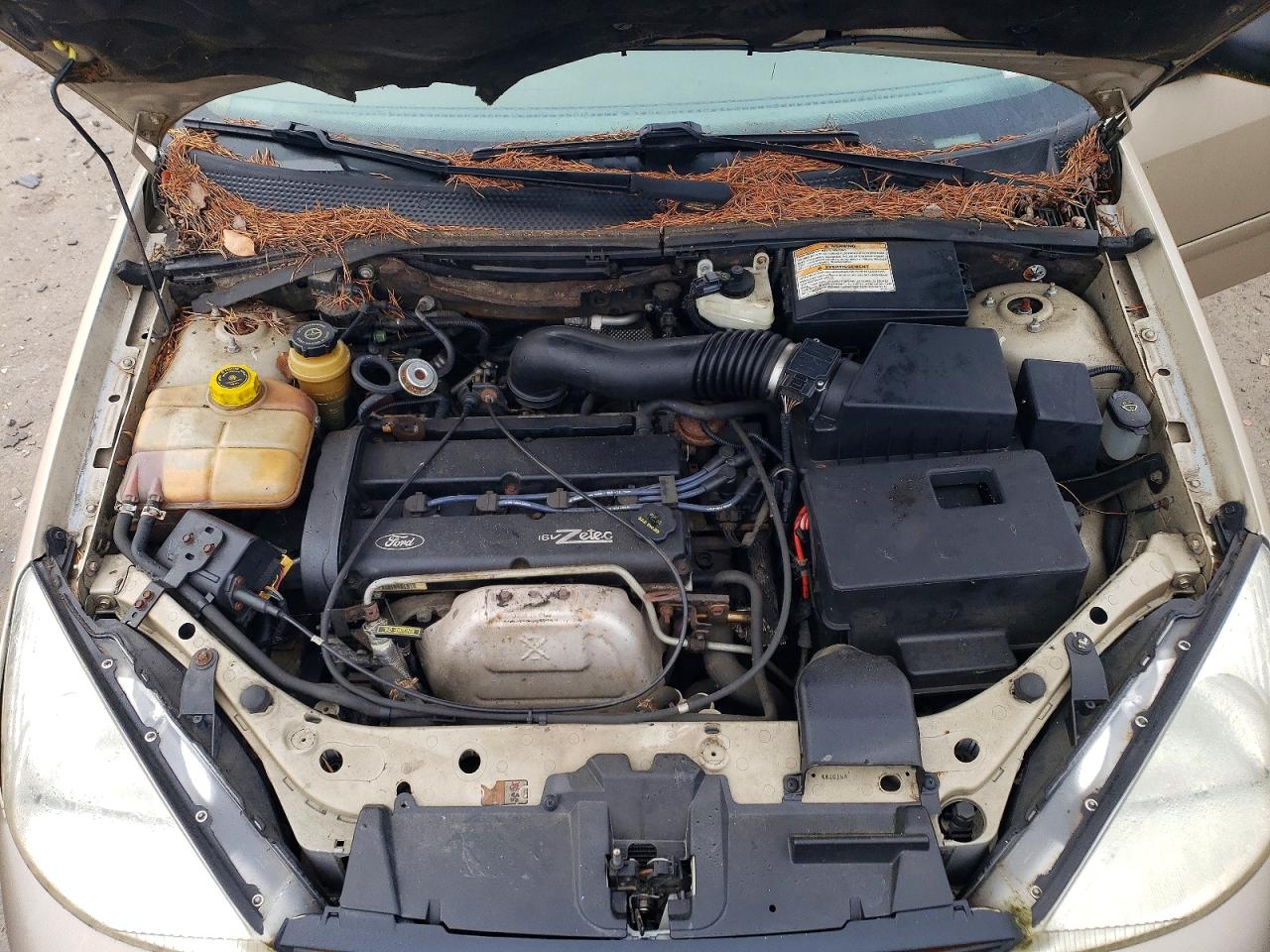 2001 FORD FOCUS SE photo 11