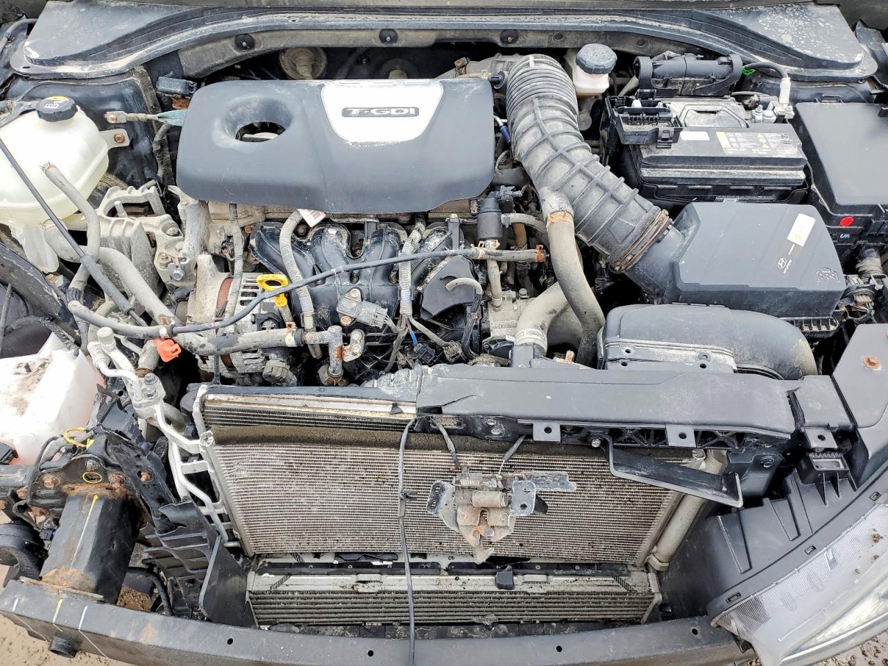 2019 HYUNDAI ELANTRA SPORT photo 11