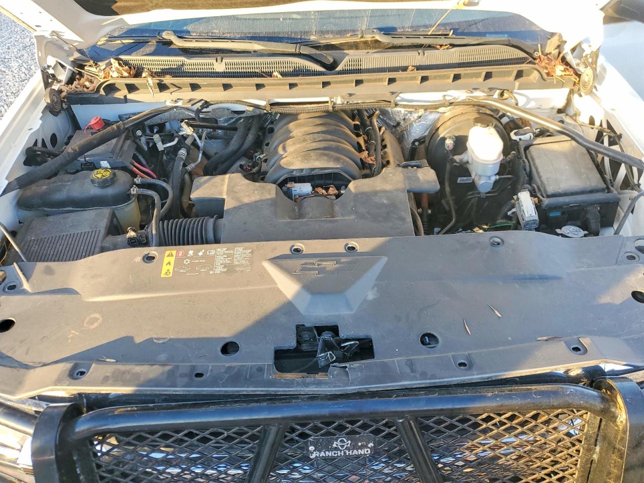 2018 CHEVROLET SILVERADO C1500 photo 11