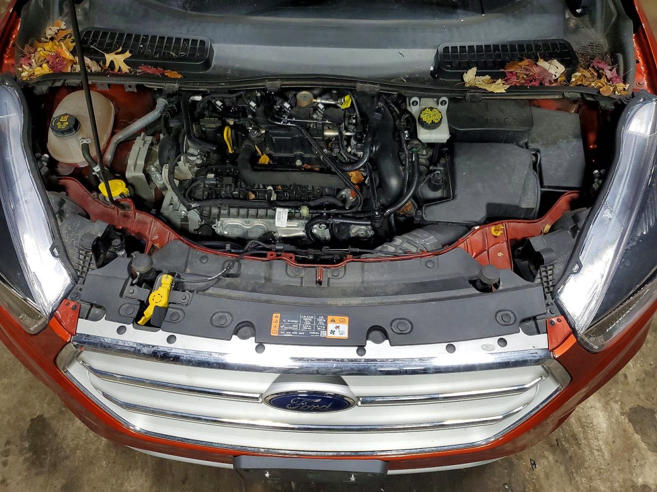 2019 FORD ESCAPE SE photo 12