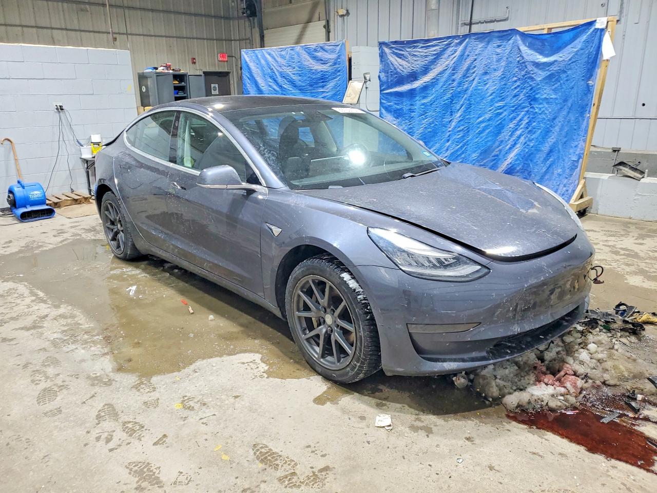2019 TESLA MODEL 3 photo 4
