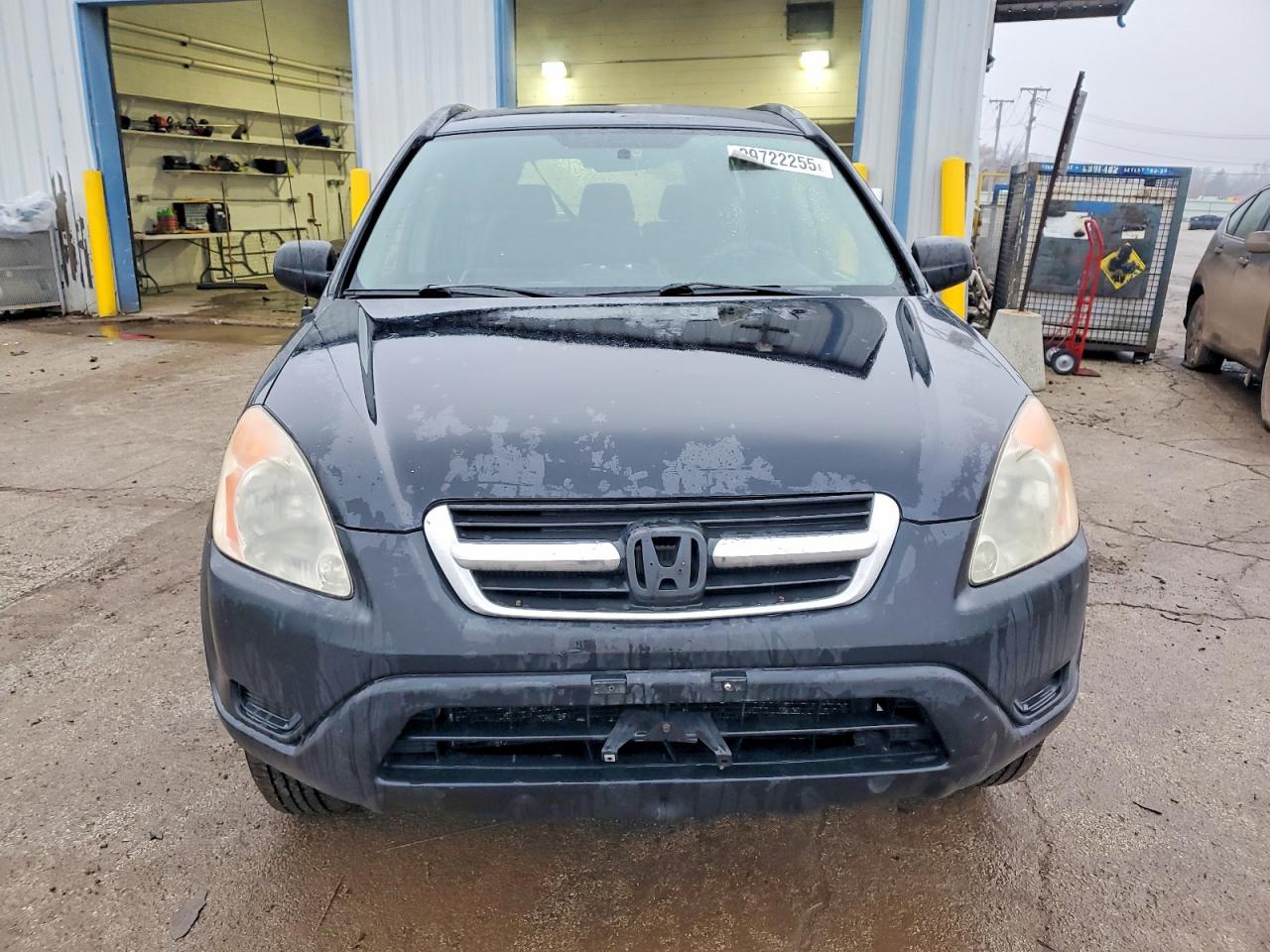 2003 HONDA CR-V LX photo 5