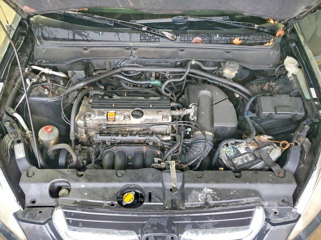 2003 HONDA CR-V LX photo 12