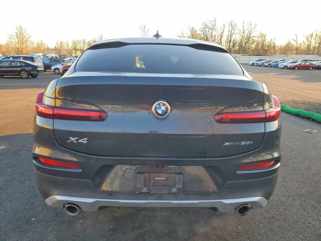 2021 BMW X4 XDRIVE30I photo 6