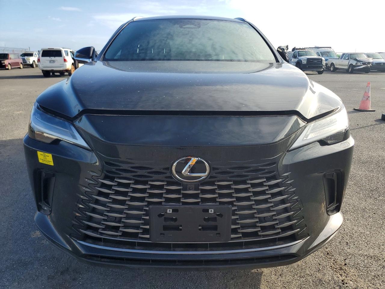 2025 LEXUS RX 450H+ LUXURY photo 5