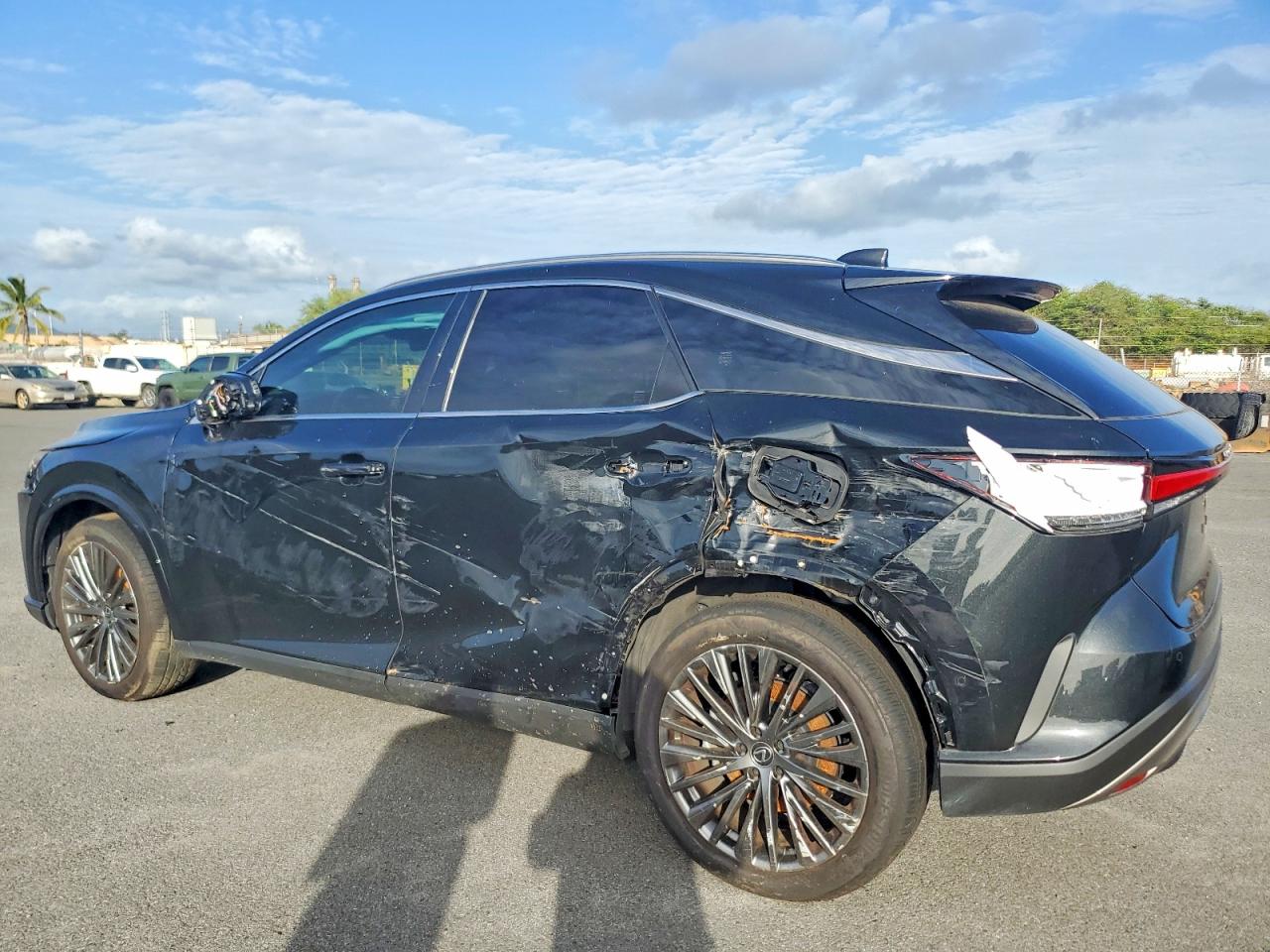 2025 LEXUS RX 450H+ LUXURY photo 2