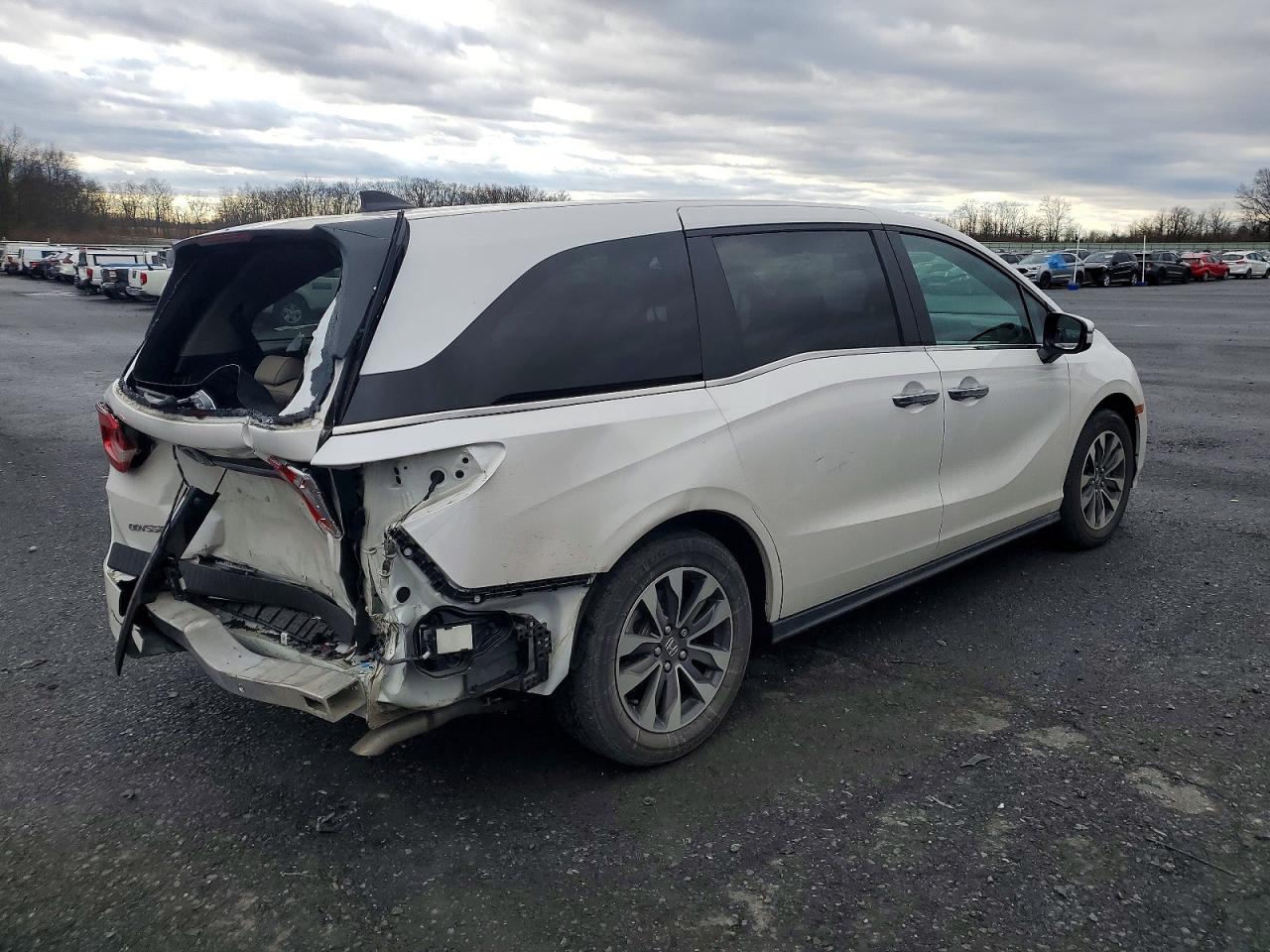 2024 HONDA ODYSSEY EXL photo 3