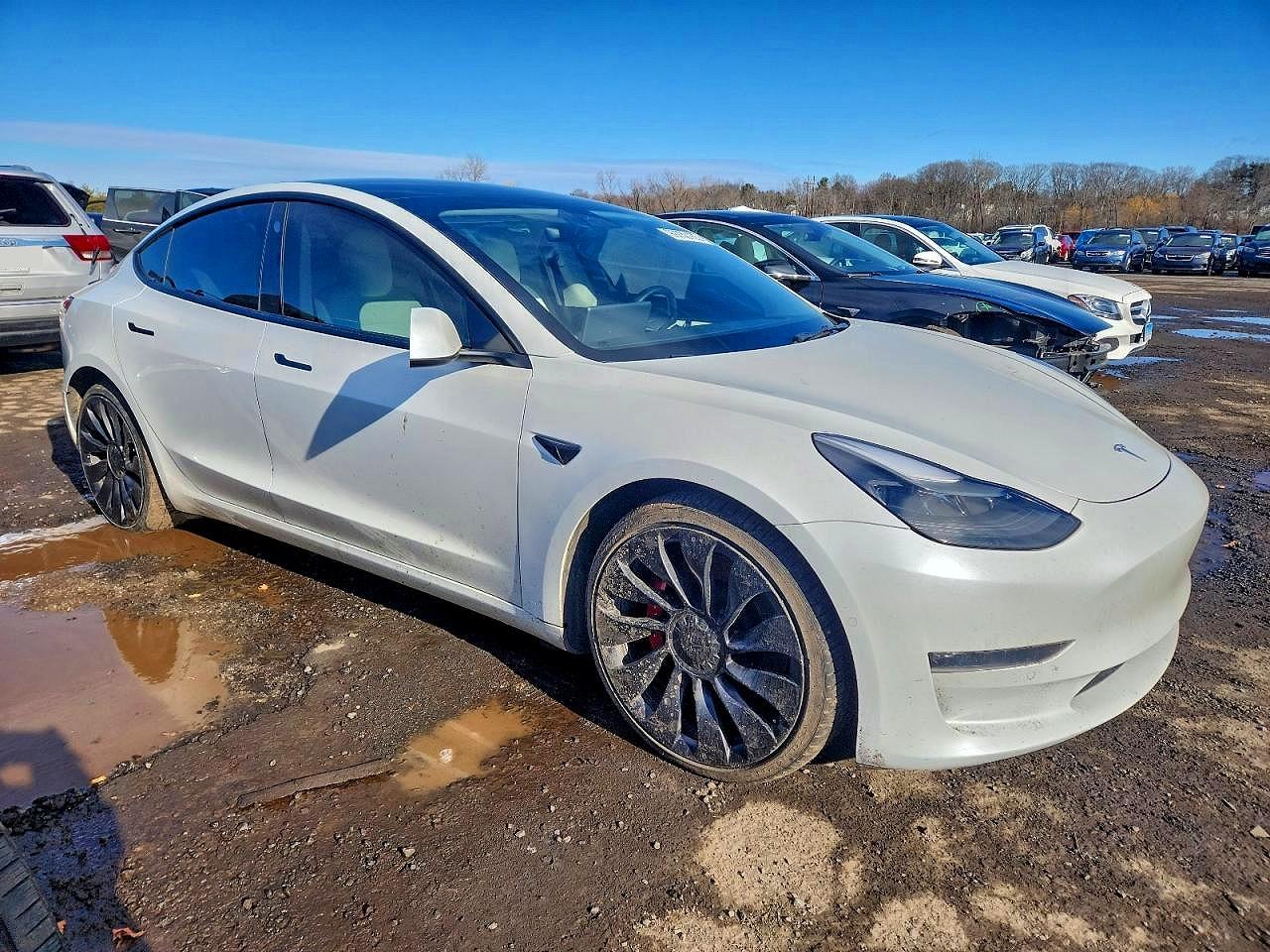 2022 TESLA MODEL 3 photo 7