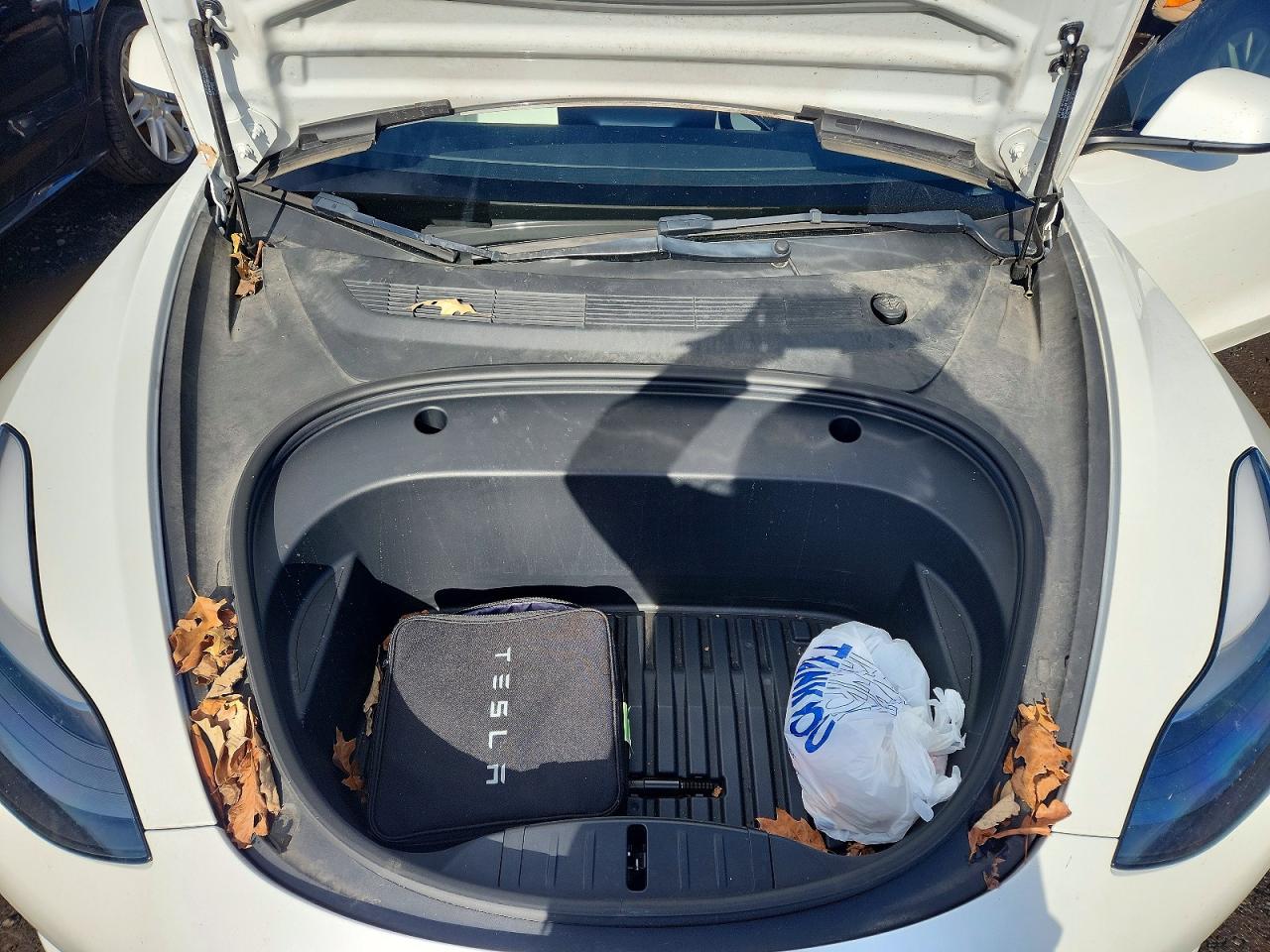 2022 TESLA MODEL 3 photo 21