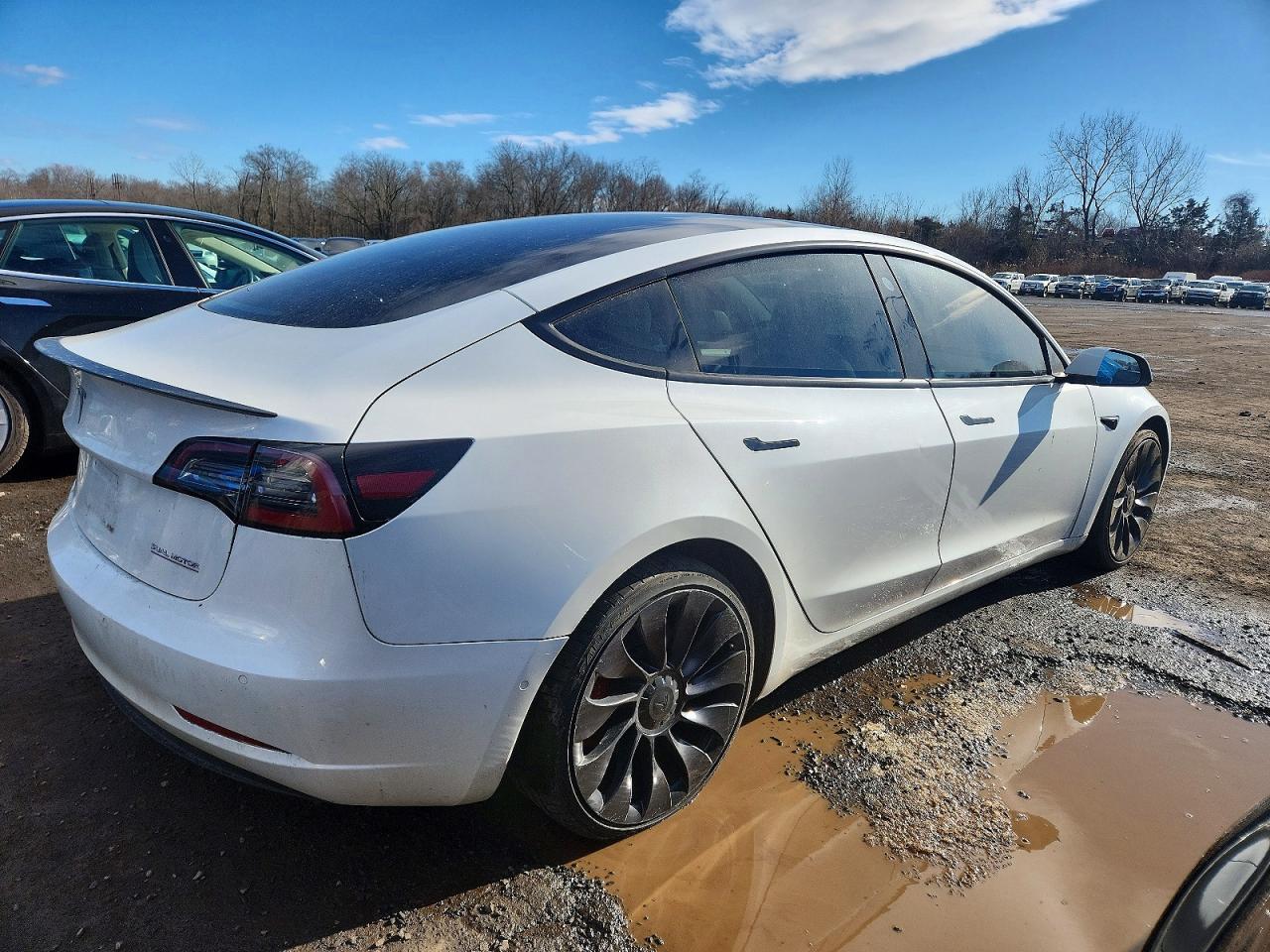2022 TESLA MODEL 3 photo 5