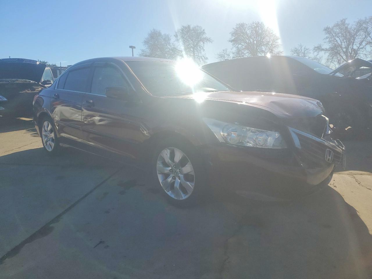 2010 HONDA ACCORD LXP photo 4