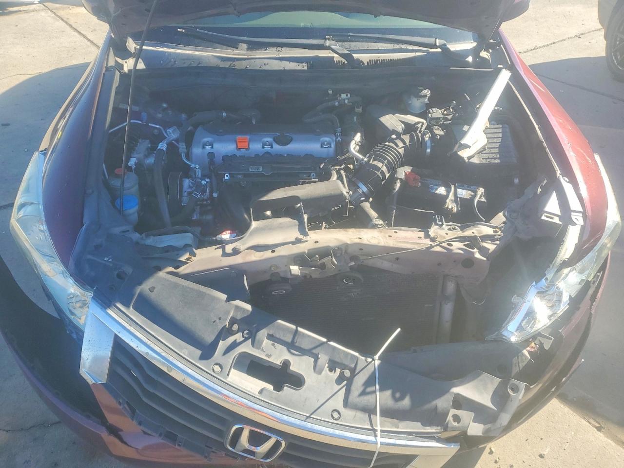 2010 HONDA ACCORD LXP photo 11