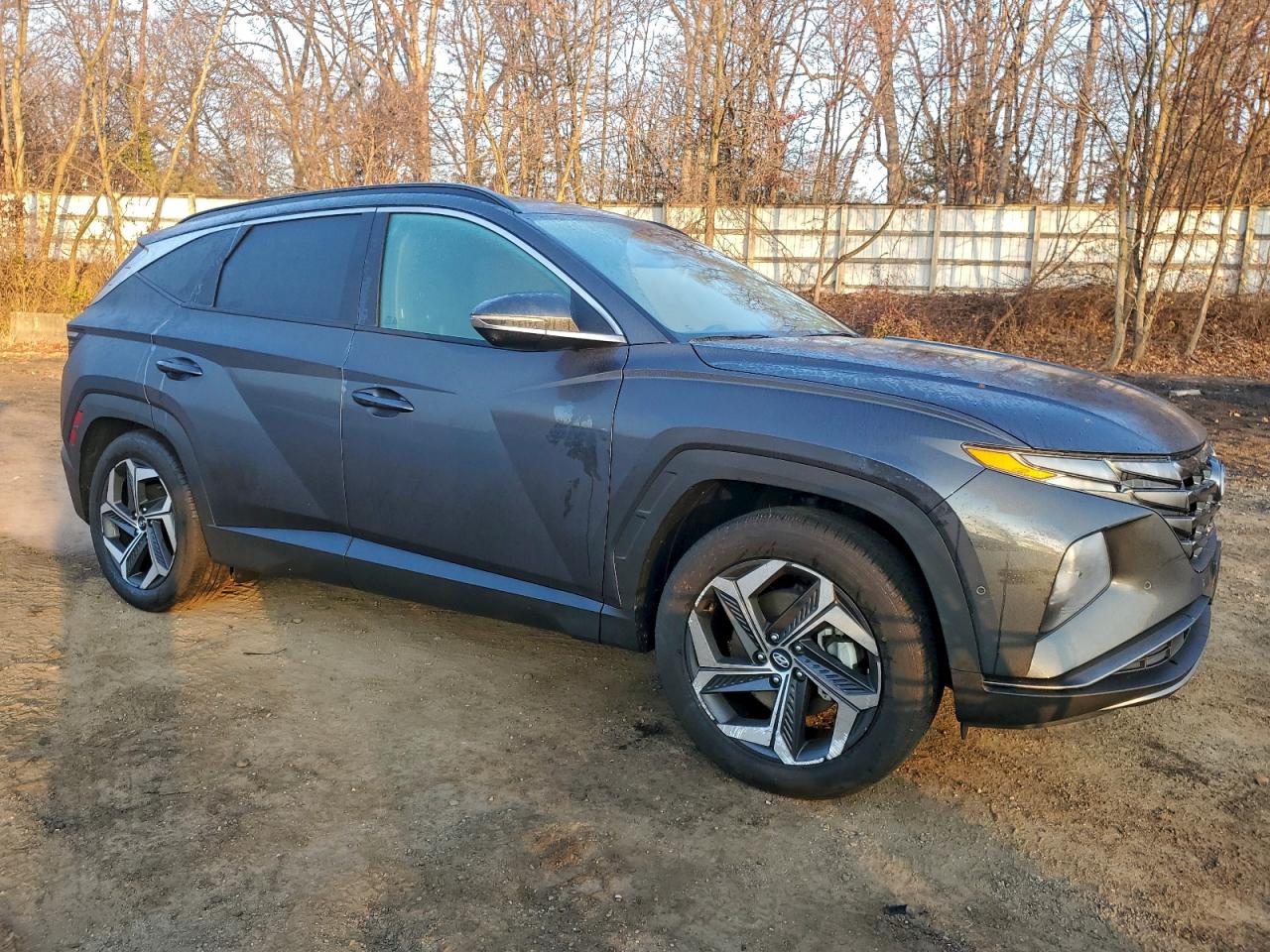 2024 HYUNDAI TUCSON LIMITED photo 7