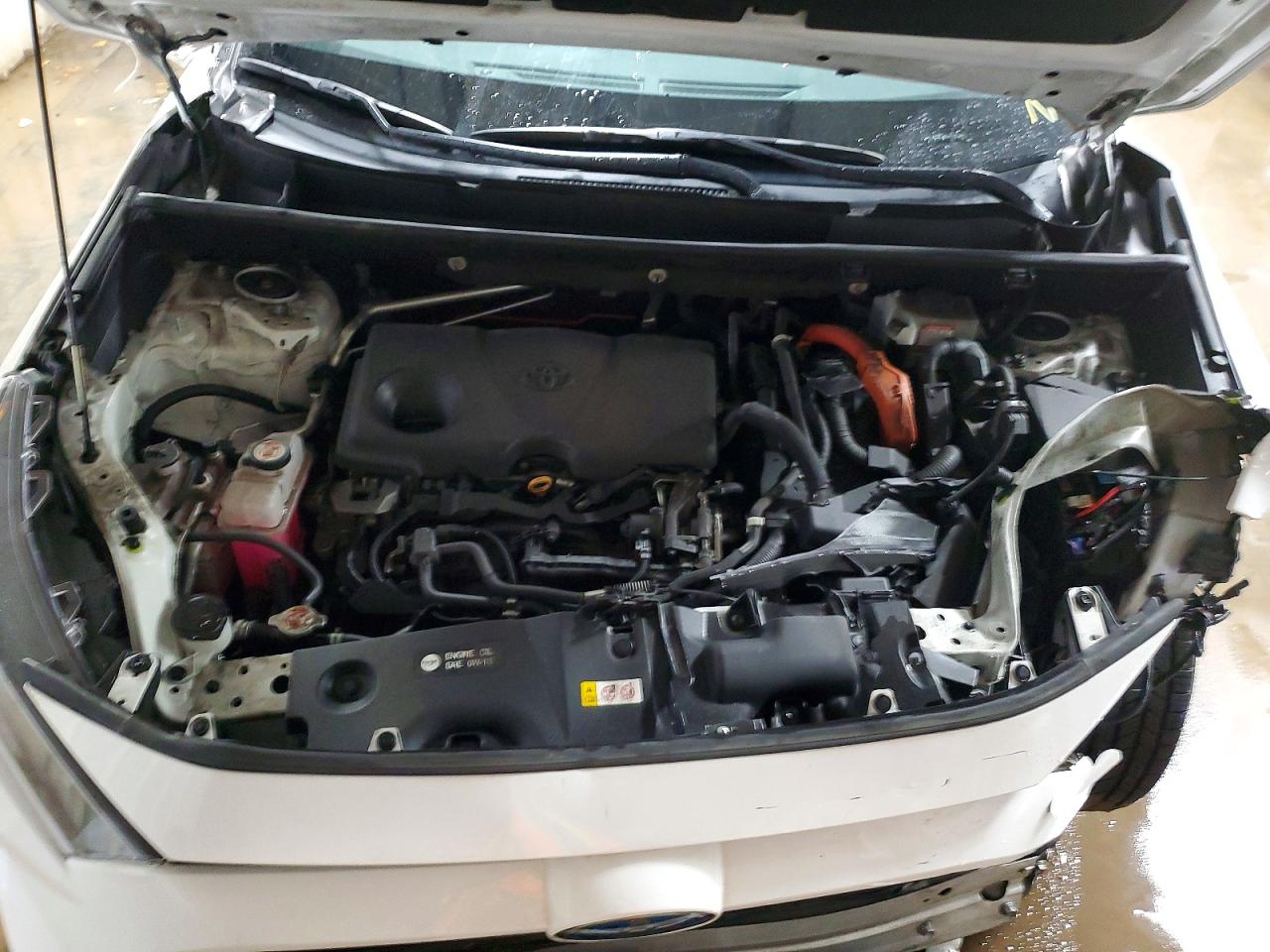 2019 TOYOTA RAV4 LE photo 11