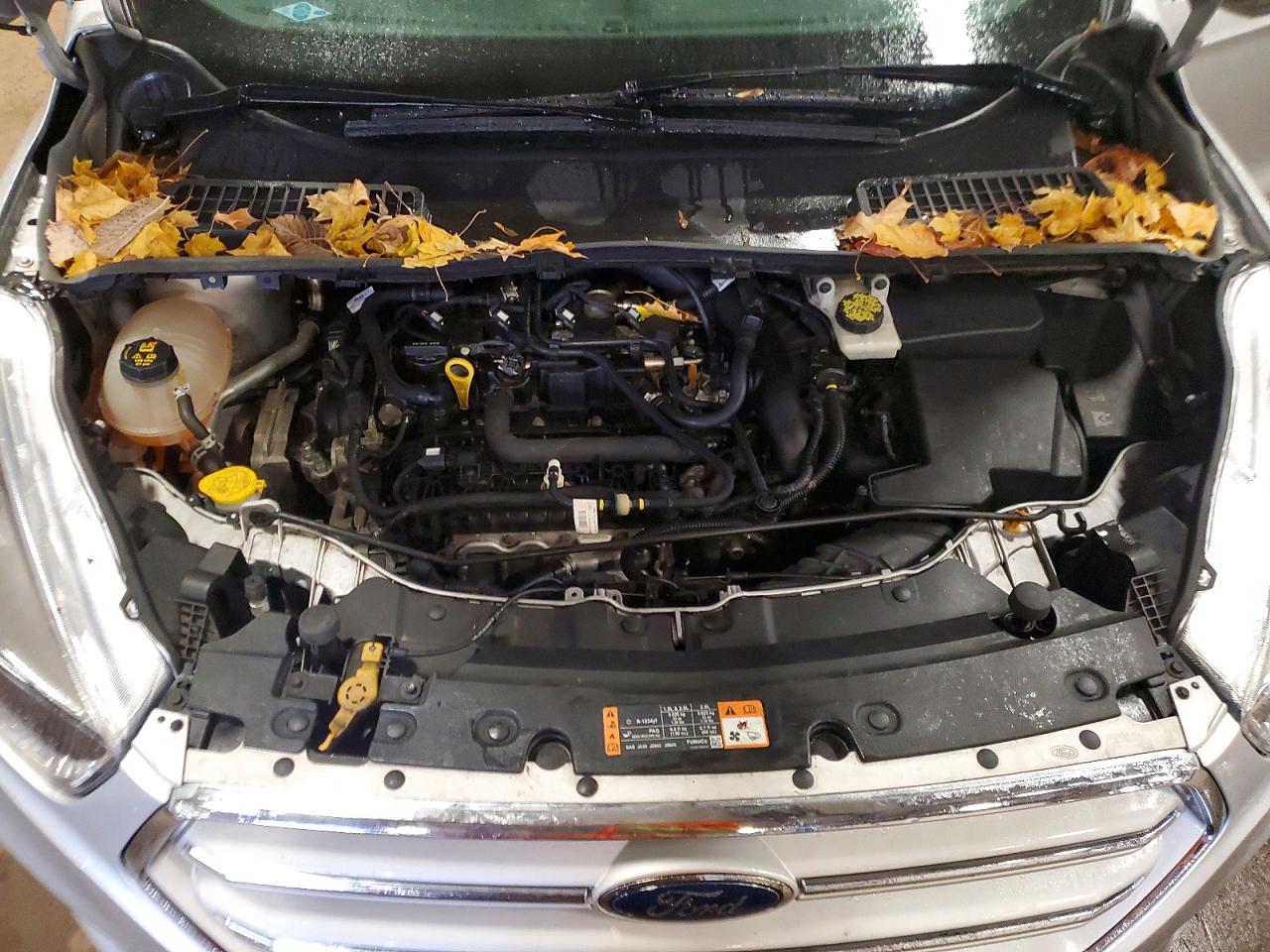 2019 FORD ESCAPE SE photo 23
