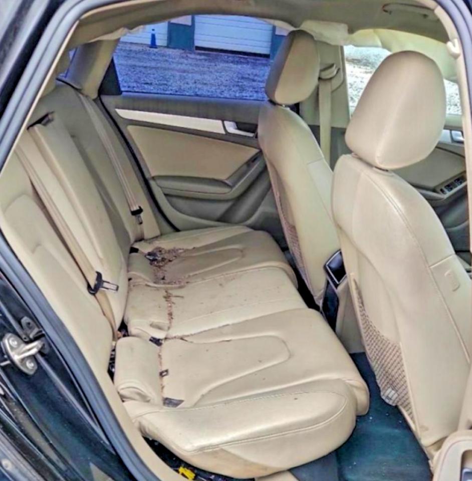 2010 AUDI A4 PREMIUM photo 10