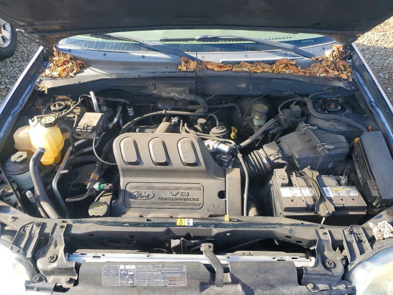 2003 FORD ESCAPE XLT photo 12