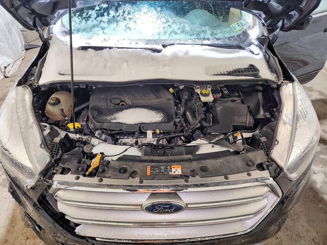 2017 FORD ESCAPE SE photo 12