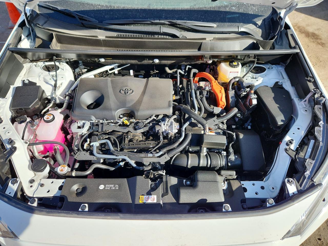 2025 TOYOTA RAV4 LE photo 12