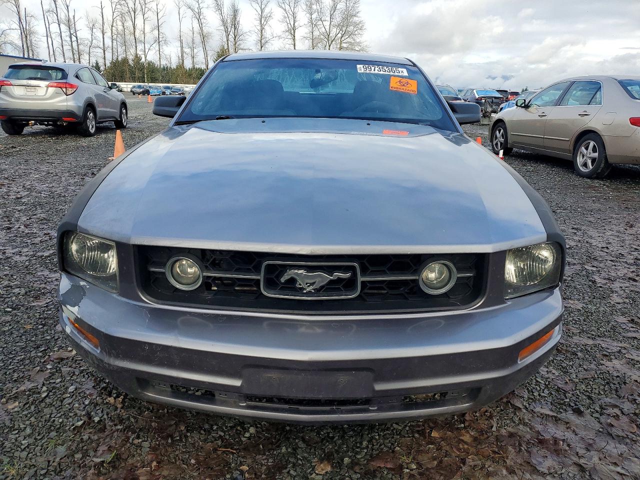 2006 FORD MUSTANG photo 5