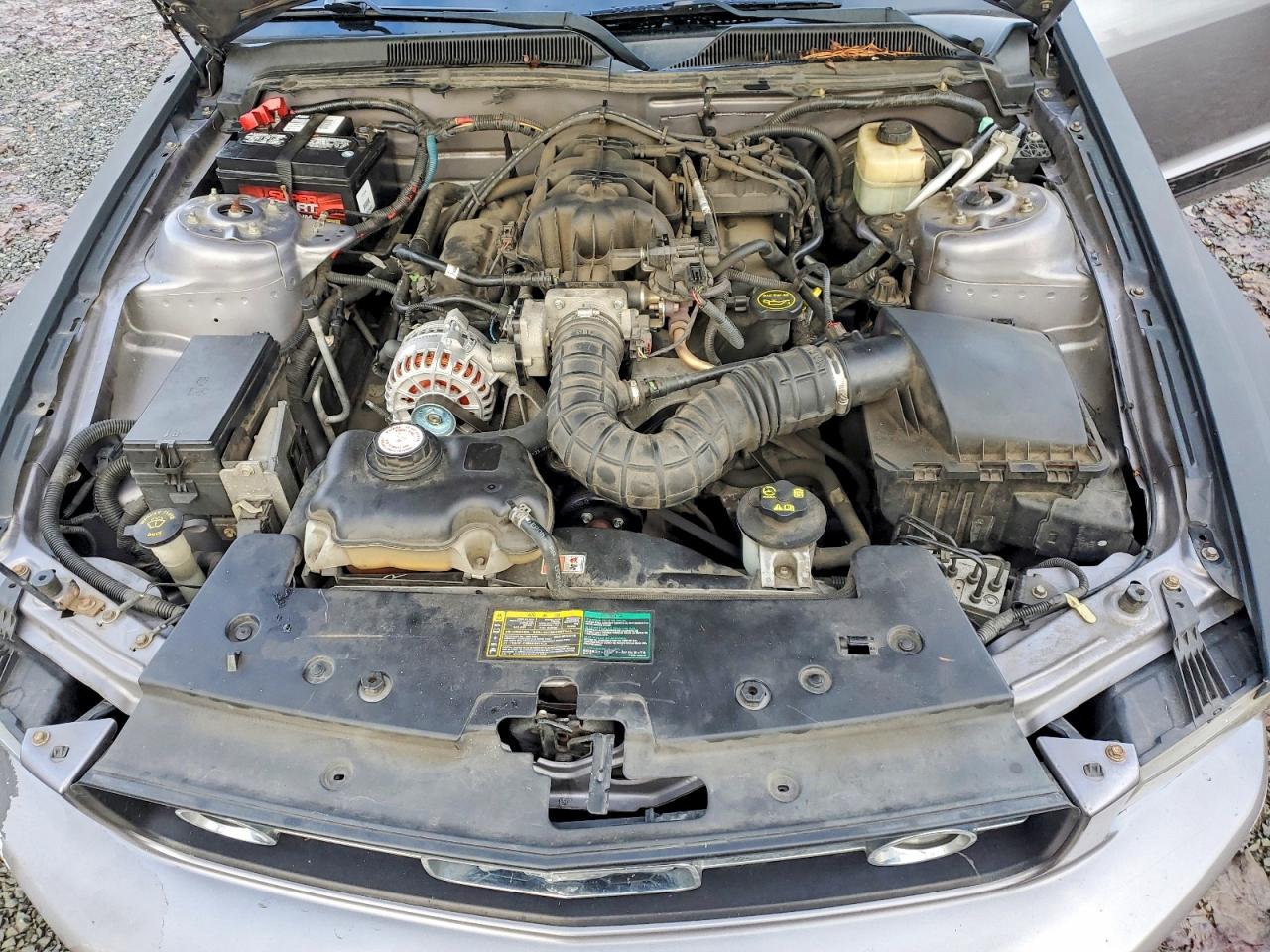 2006 FORD MUSTANG photo 11