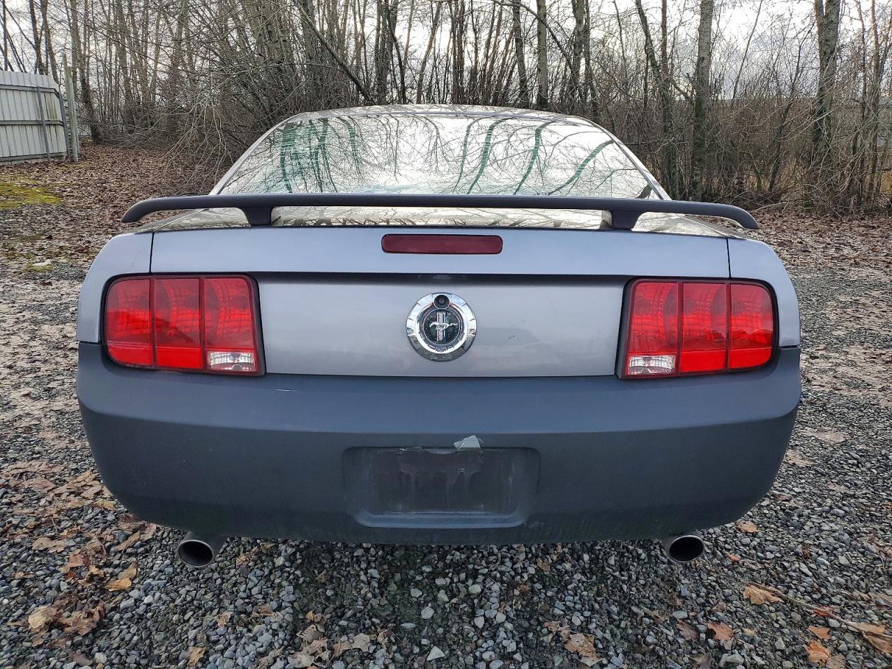 2006 FORD MUSTANG photo 6