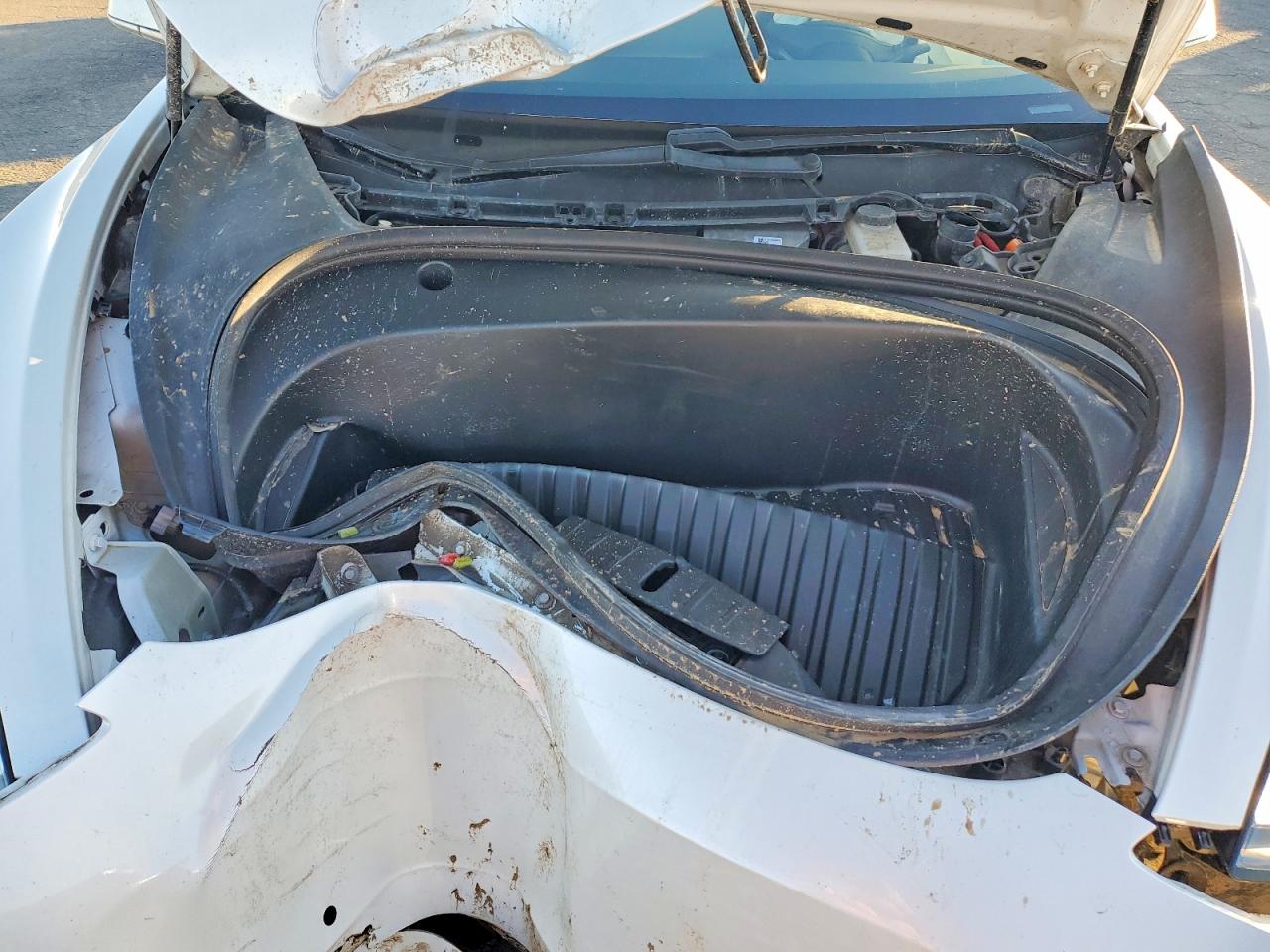 2020 TESLA MODEL 3 photo 11