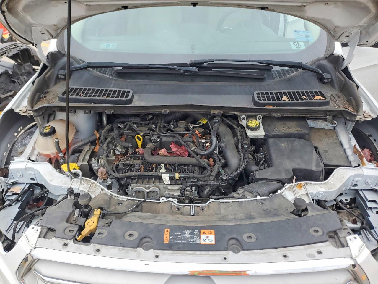 2019 FORD ESCAPE SE photo 12
