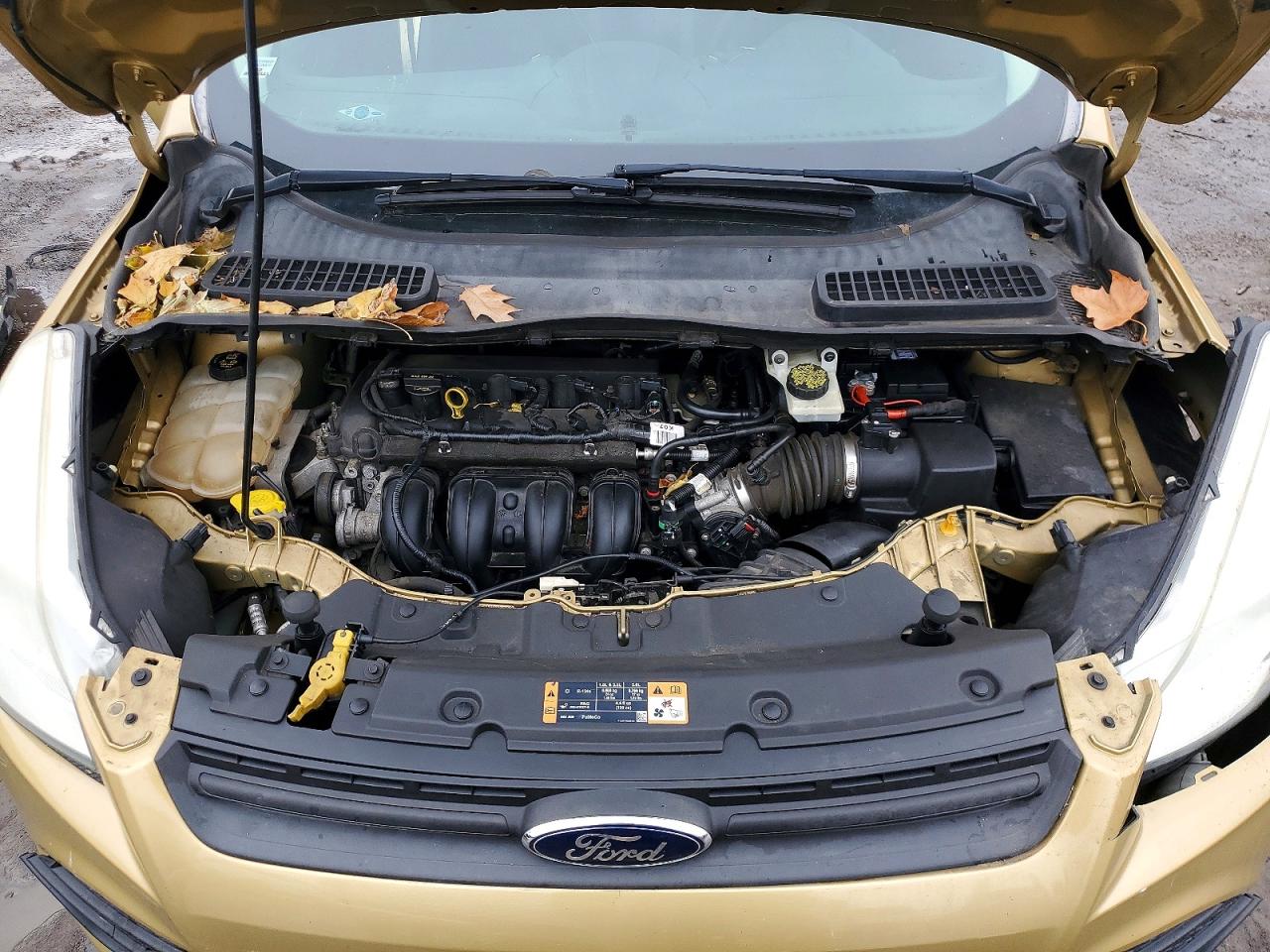 2015 FORD ESCAPE S photo 12