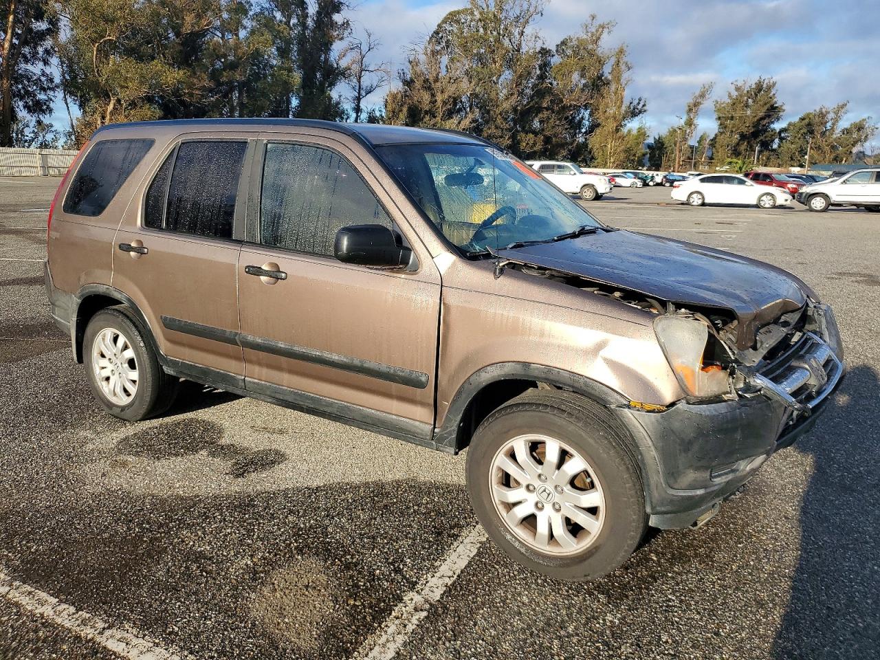 2003 HONDA CR-V LX photo 4