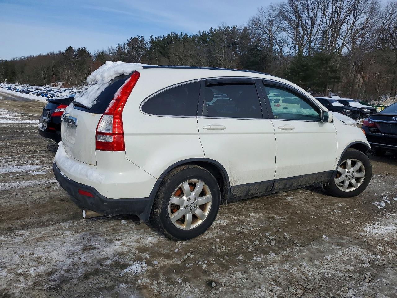 2009 HONDA CR-V EXL photo 5