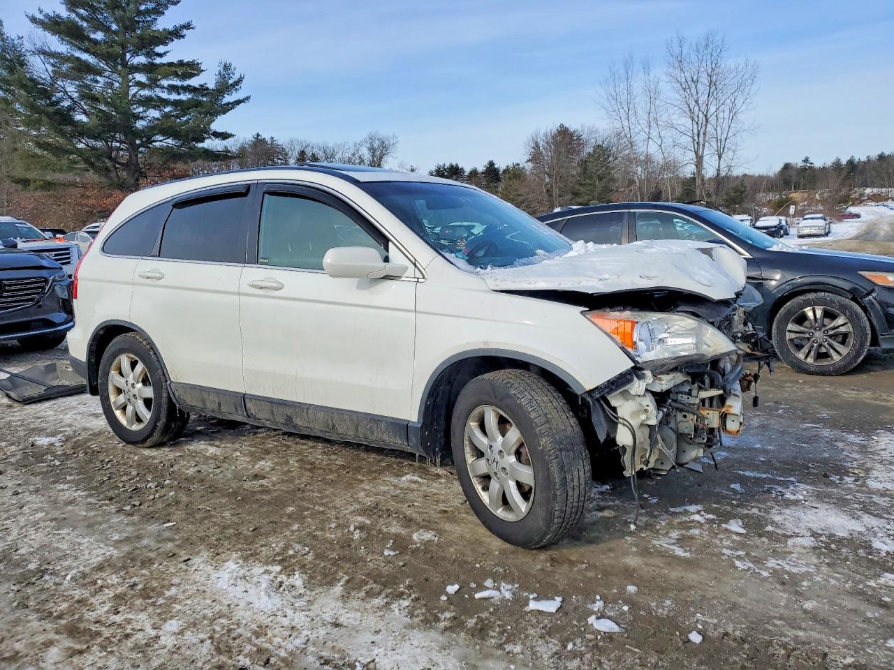 2009 HONDA CR-V EXL photo 7