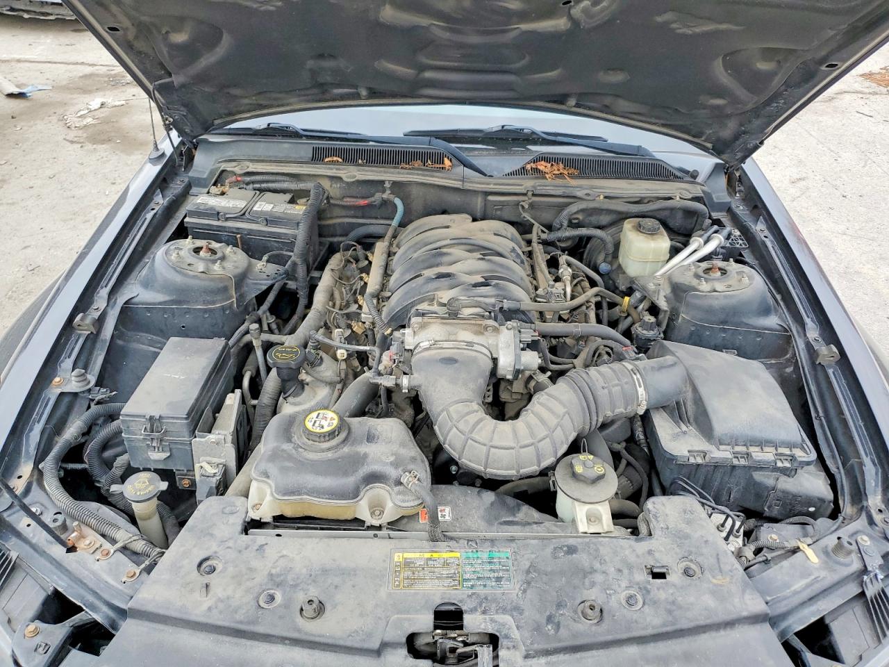 2006 FORD MUSTANG GT photo 21