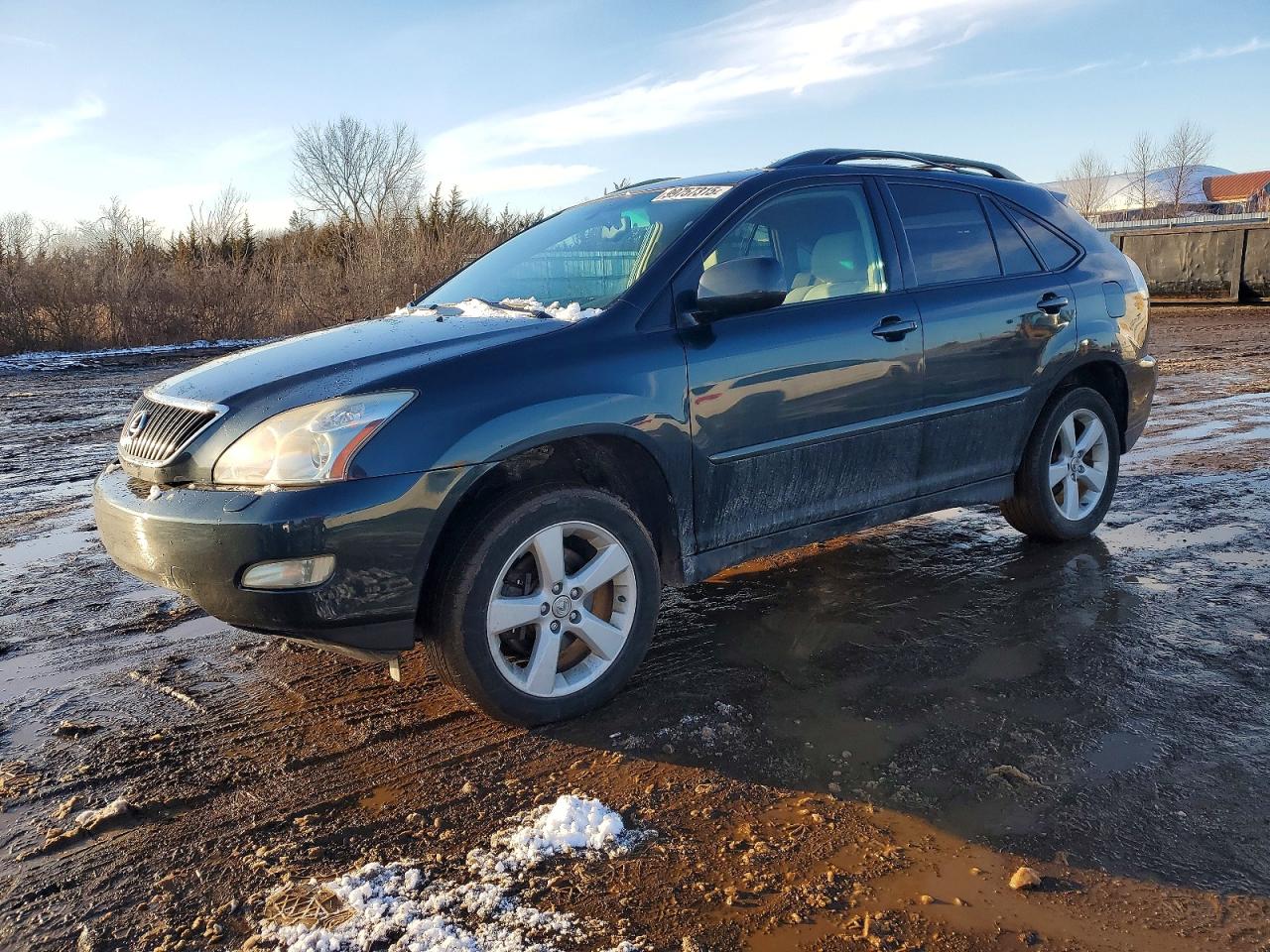 2005 LEXUS RX
