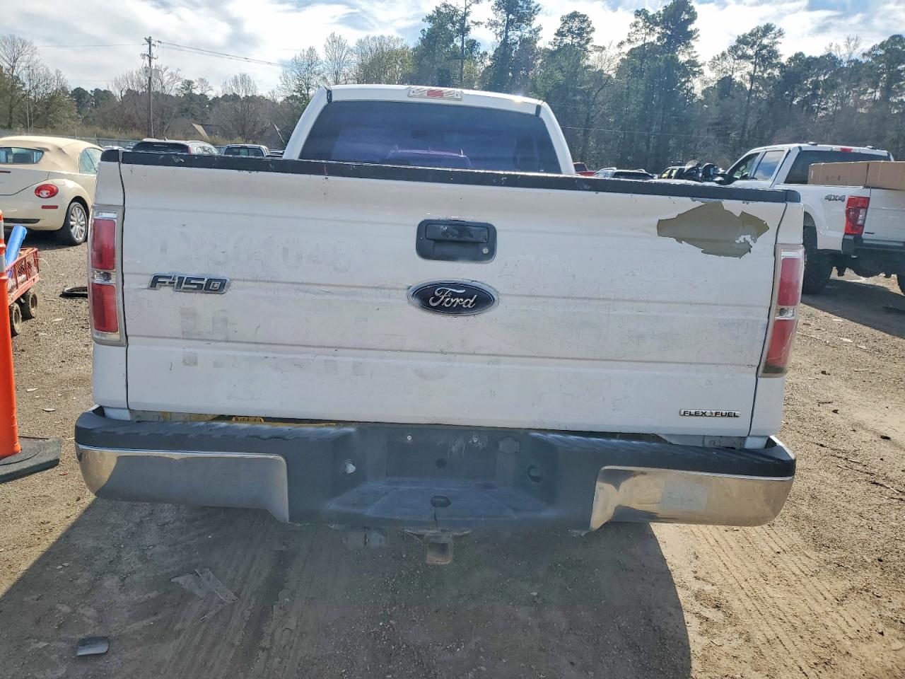 2010 FORD F150 photo 6