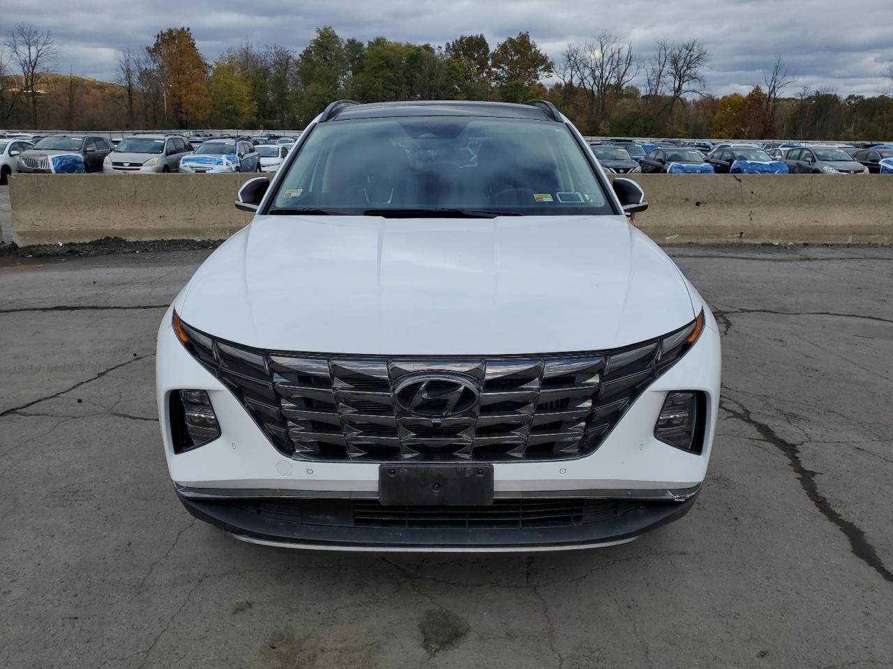 2022 HYUNDAI TUCSON LIMITED photo 5