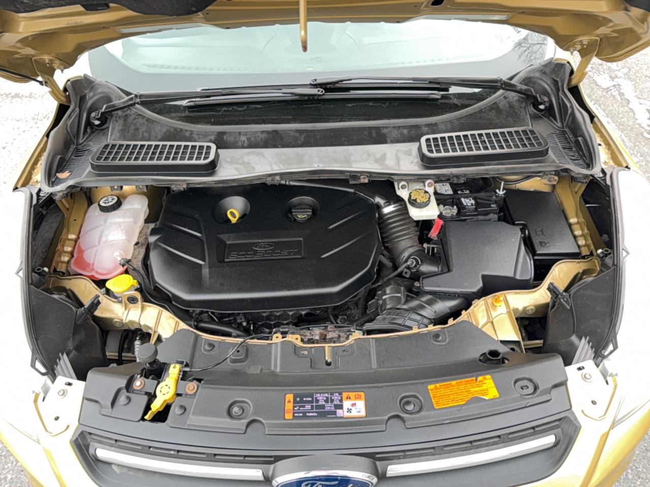 2015 FORD ESCAPE SE photo 7