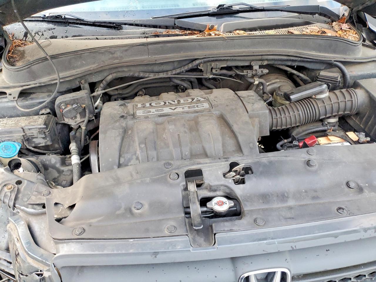 2005 HONDA PILOT LX photo 12