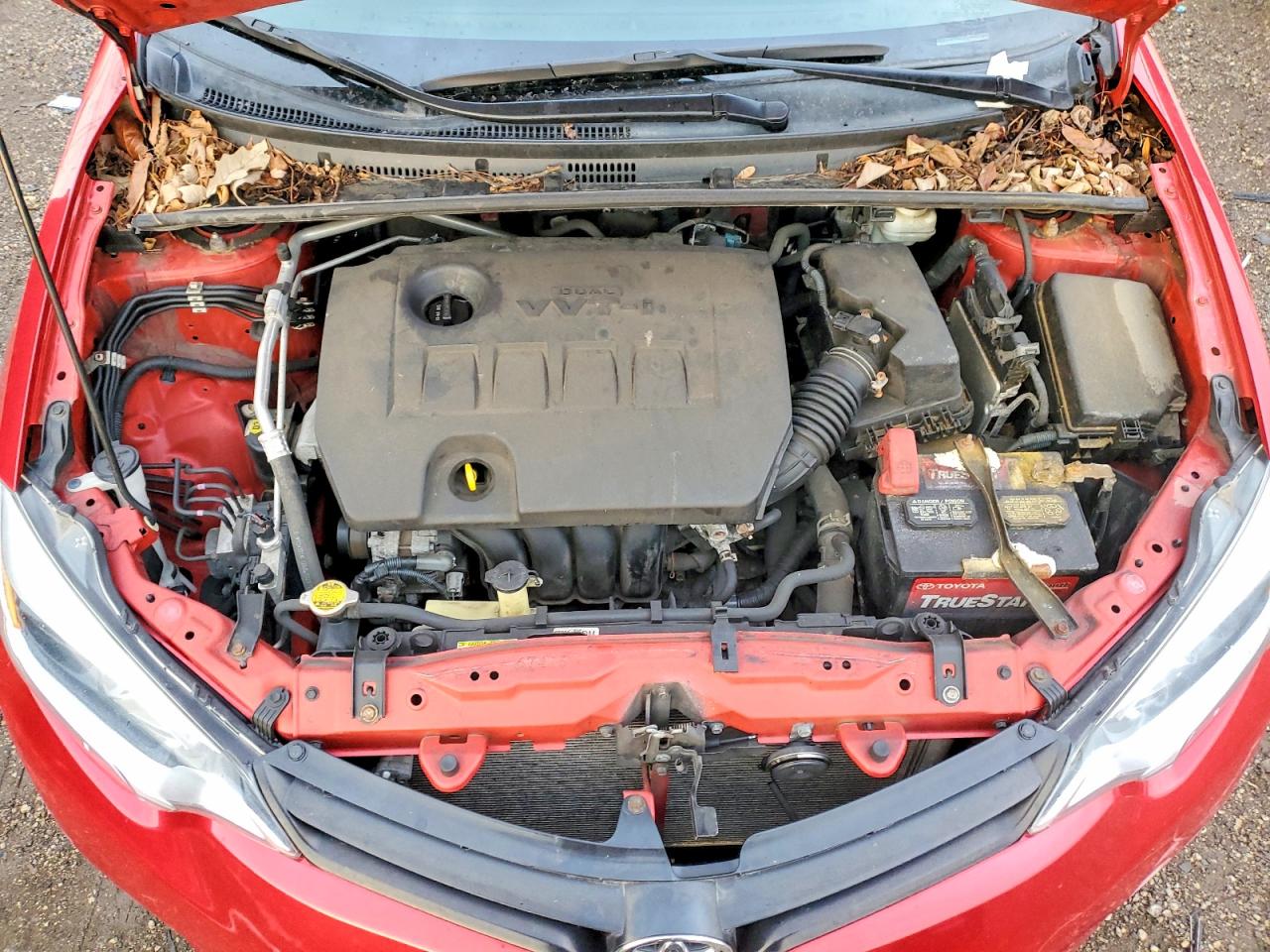 2014 TOYOTA COROLLA L photo 11