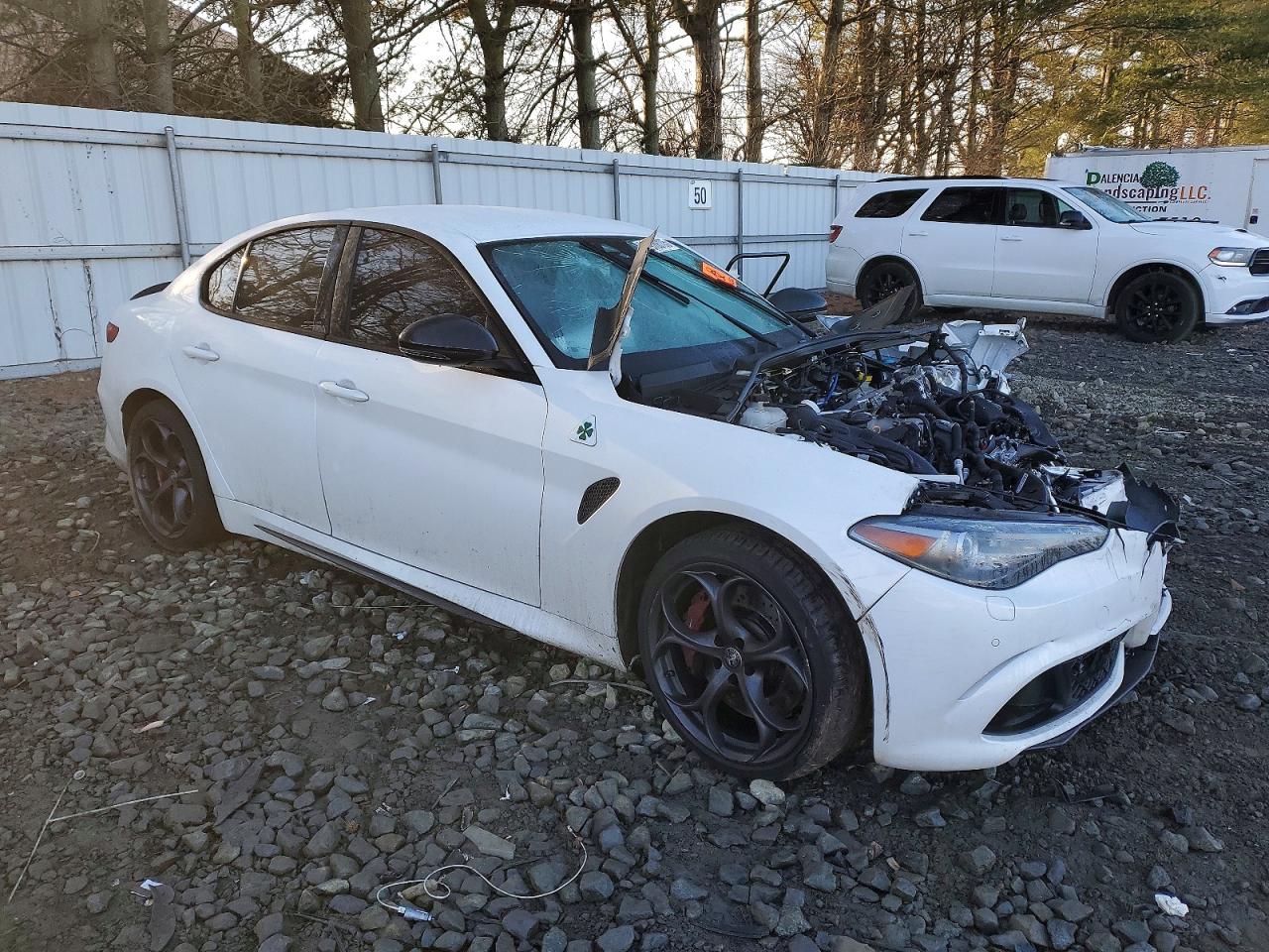 2019 ALFA ROMEO GIULIA QUADRIFOGLIO photo 4