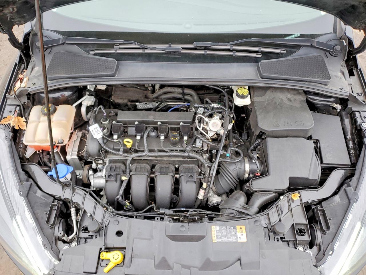 2017 FORD FOCUS SEL photo 12